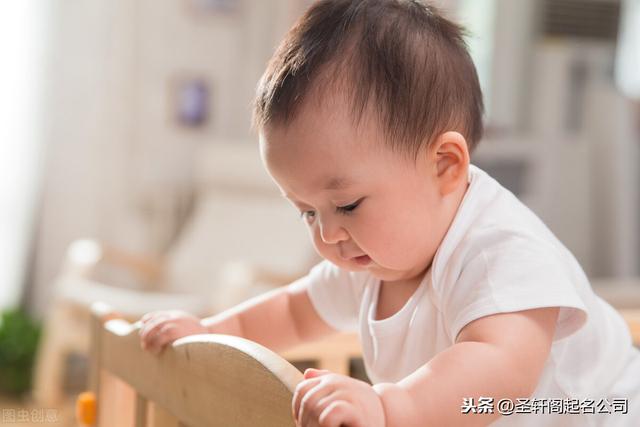 嘉在名字里什么意思(嘉琪名字代表什么意思)-第1张图片-