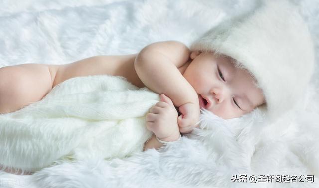 嘉在名字里什么意思(嘉琪名字代表什么意思)-第2张图片-