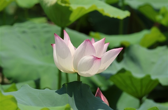 好听的二字网名(精选711个)