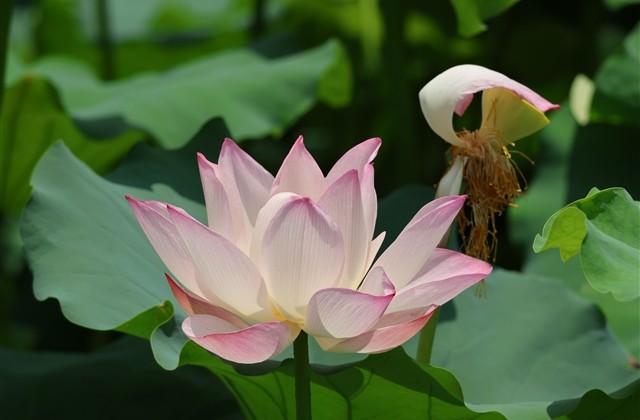 好听又伤感的名字(共530个)