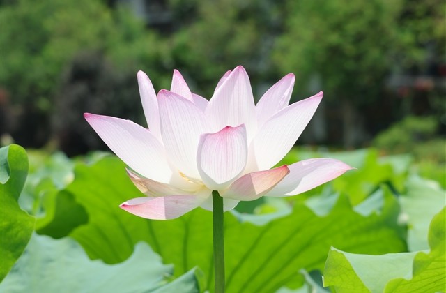 高级小众情侣网名(优选84个)