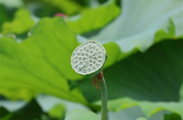 非主流闺蜜游戏名字大全(精选47个)