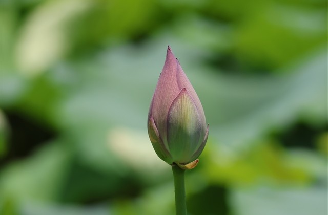 非主流闺蜜游戏名字大全(精选47个)