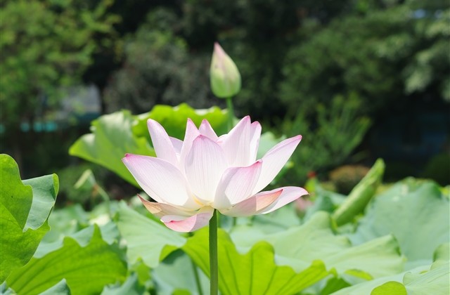 冷门独特稀少网名(优选295个)