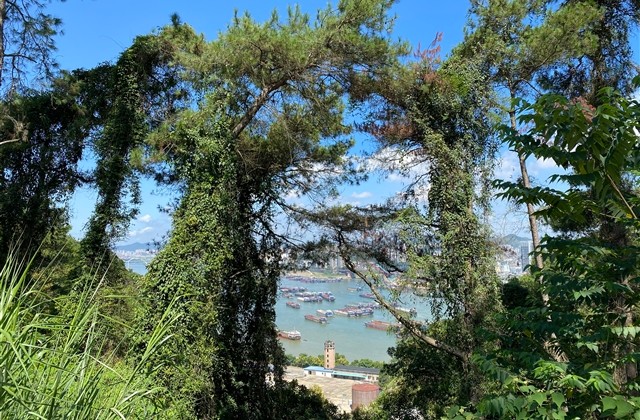 美团个性用户名 美团个性昵称大全