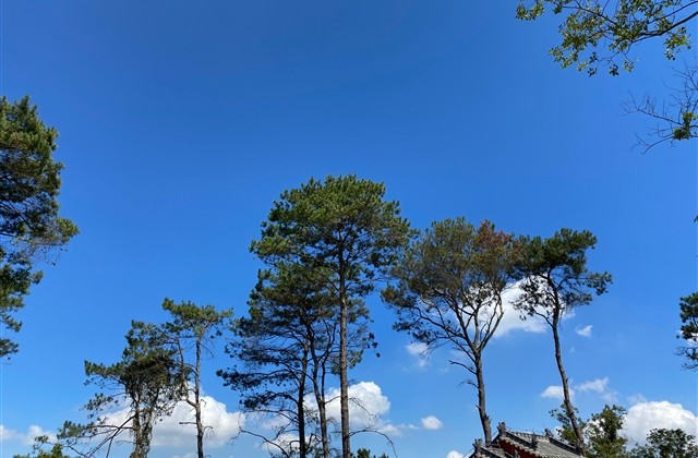 95后伤感网名大全