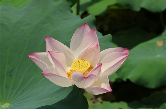 伤感名字2个字