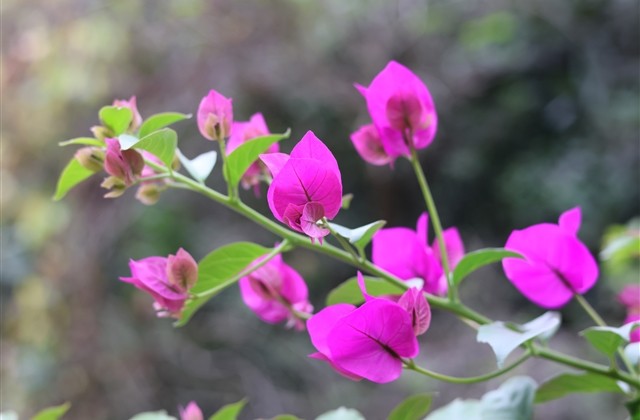 英雄联盟四字名字