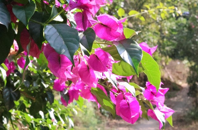 2023个性情侣网名(401个)