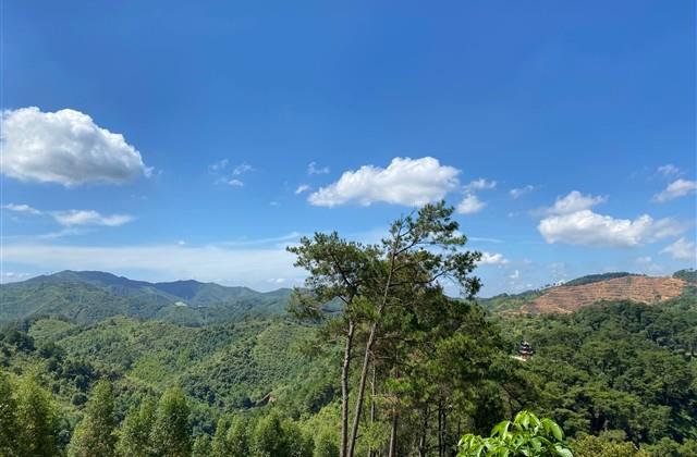 2024好运连连的网名大全(精选50个) 2024好运连连的网名大全(精选50个)