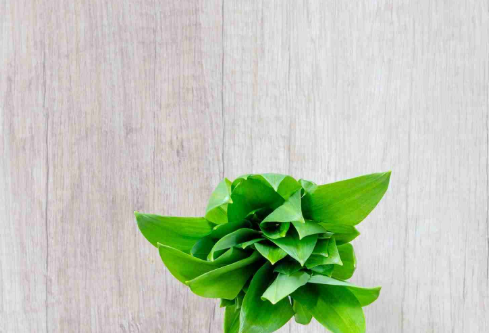 1703703675263080.png image.png