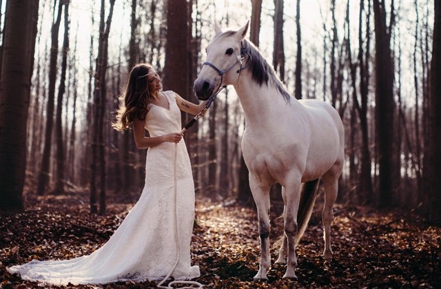 热血江湖霸气门派名字(精选122个) 热血江湖霸气门派名字(精选122个)