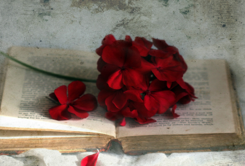 1703699864621350.png image.png