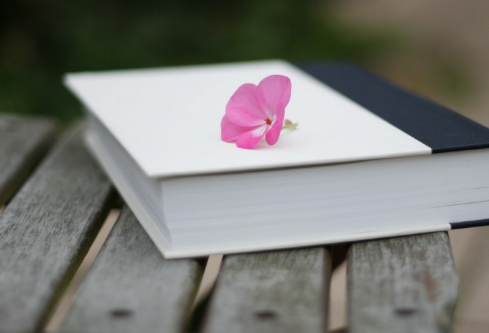 1703696216935629.png image.png