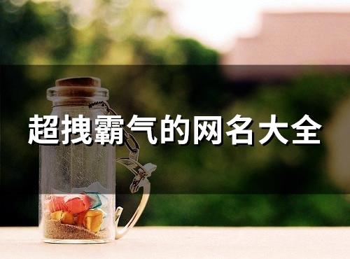 超拽霸气的网名大全(精选116个) 超拽霸气的网名大全(精选116个)