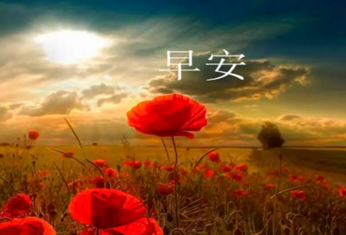 1685516404375207.png image.png