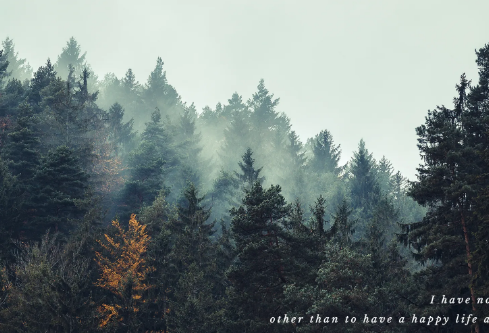 1703704007277938.png image.png