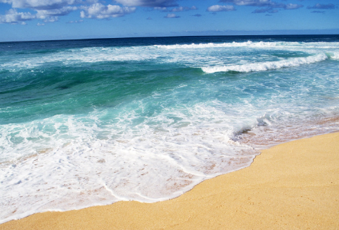 1684510361362887.png image.png