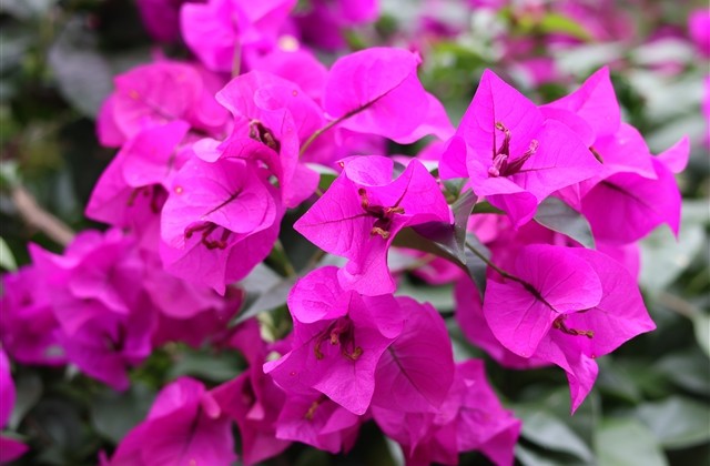 女生游戏名字霸气(优选674个) 女生游戏名字霸气(优选674个)