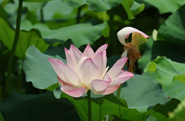 女生游戏名字霸气(优选674个) 女生游戏名字霸气(优选674个)