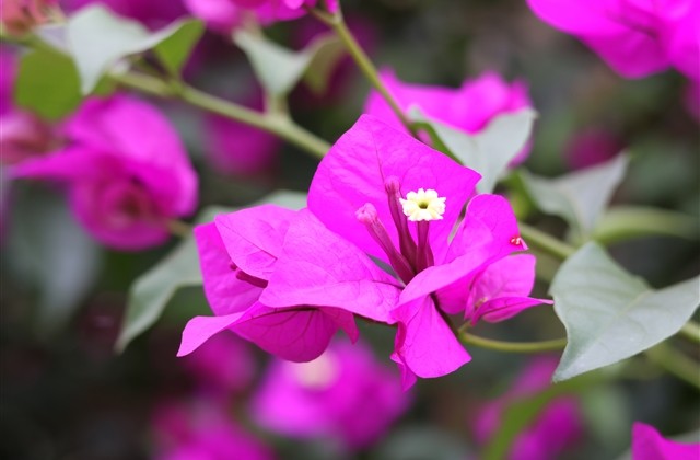 男生伤心微信名