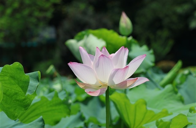 三个字可爱萌的网名(共422个) 三个字可爱萌的网名(共422个)