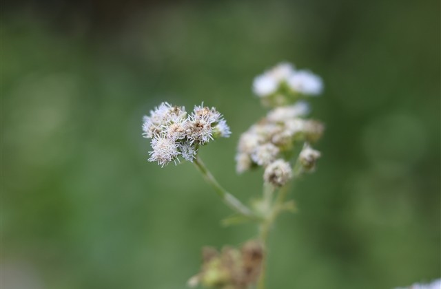 很有气质又吸引人的霸气昵称(329个)