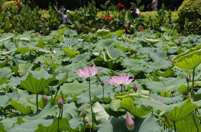 很有气质又吸引人的霸气昵称(329个)