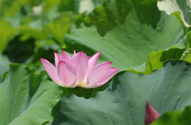 求个霸气公会名字(共362个) 求个霸气公会名字(共362个)