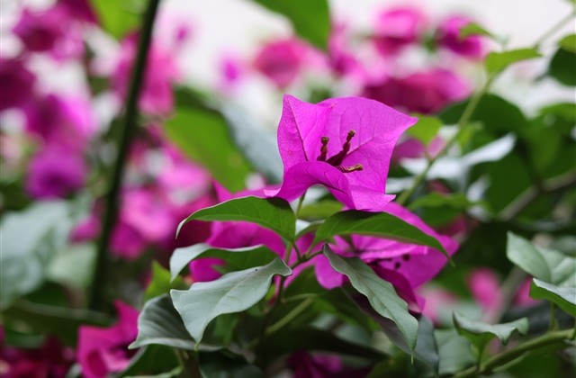 感觉被伤透了难受昵称(330个)