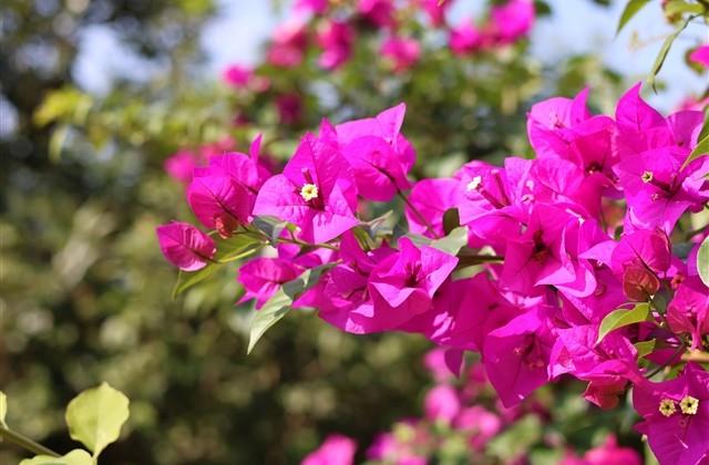 比较浪比较猥琐的男生网名 比较浪比较猥琐的男生网名