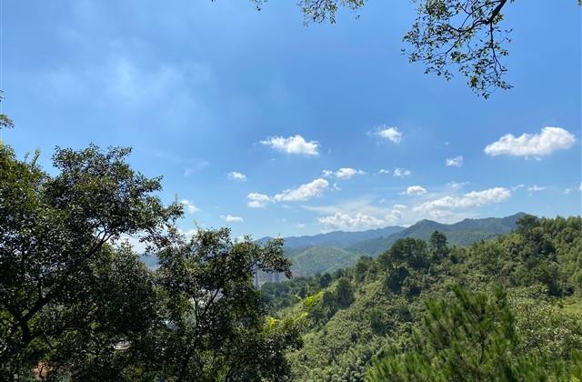 王者悲伤的id网名 王者悲伤的id网名