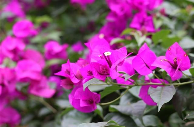 王者悲伤的id网名 王者悲伤的id网名