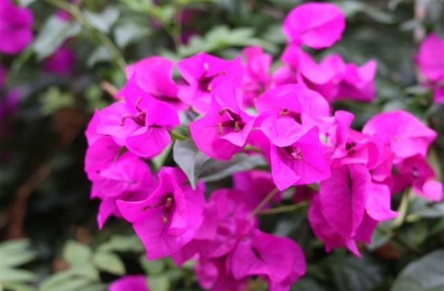 起个高端俱乐部名字大全(精选90个)