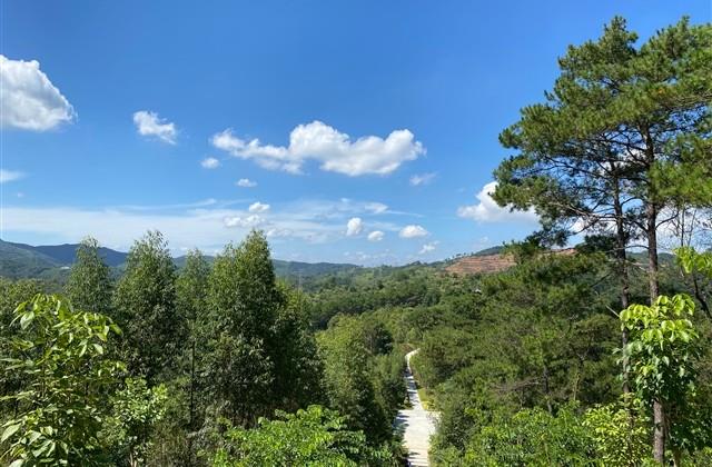 气质小清新网名(精选96个)