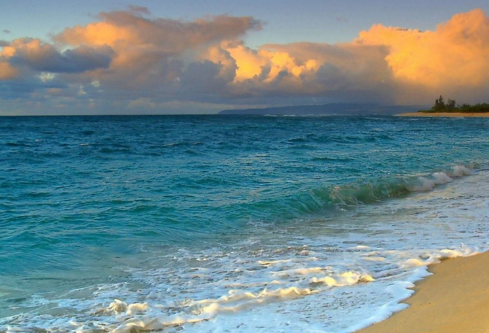 1692019007879890.png image.png